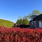 B&k Het Hoenveld