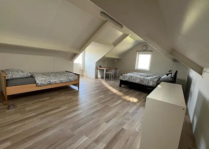 B&k Het Hoenveld Tatil Evi *