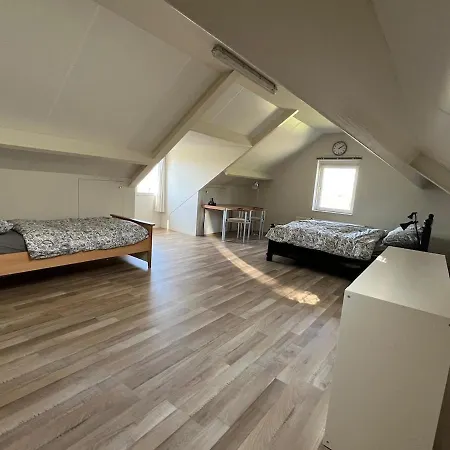 B&k Het Hoenveld Semesterbostad *